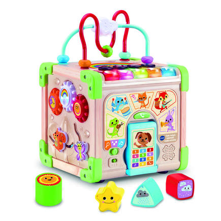 Cube nature interactif Marron VTECH