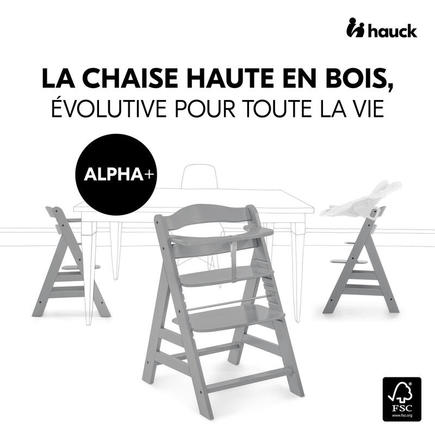 Chaise haute Alpha+ - Gris HAUCK - 15