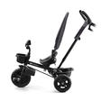 Tricycle Aveo - Malachite grey KINDERKRAFT - 9