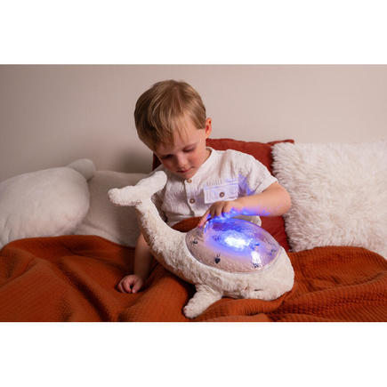 Tranquil whale (rechargeable) CLOUD B - 4