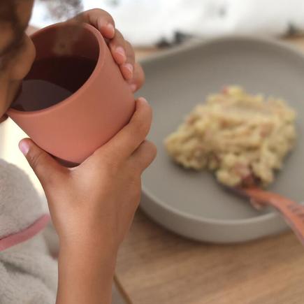 Coffret Repas Silicone 4 Pièce - Terracotta  BEABA - 2